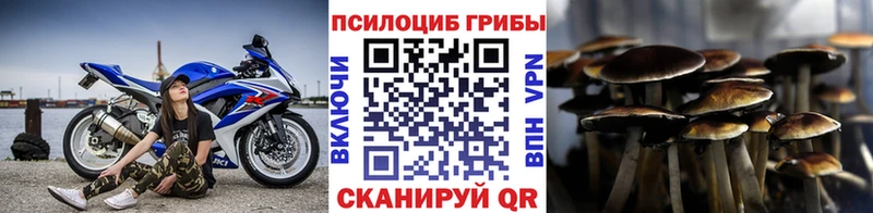Купить  Лосино-Петровский  Галлюциногенные грибы мухоморы 